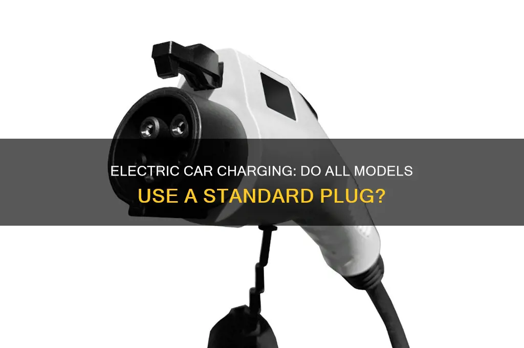 do electric cars have a standard plug
