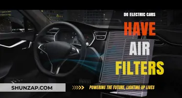 Electric Cars and Air Filters: Do They Need Them?