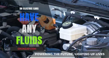 Electric Cars and Fluids: What You Need to Know