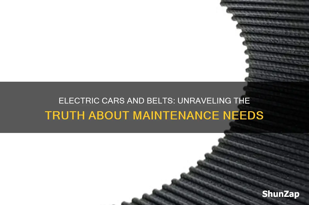 do electric cars have belts