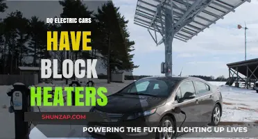 Electric Cars and Block Heaters: Do EVs Need Winter Warm-Up?