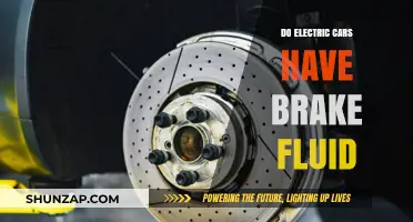 Electric Cars and Brake Fluid: What You Need to Know