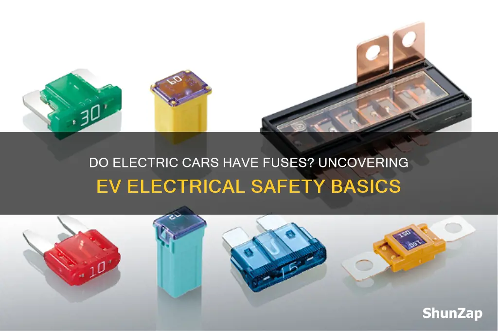do electric cars have fuses