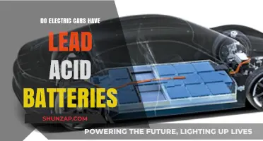 Electric Cars and Lead-Acid Batteries: Unraveling the Power Source Myth