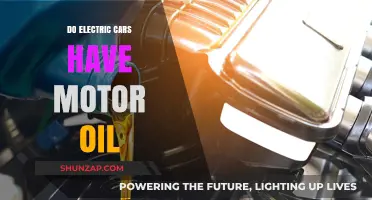 Electric Cars and Motor Oil: Debunking the Maintenance Myth