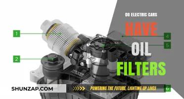 Electric Cars and Oil Filters: Do They Really Need Them?
