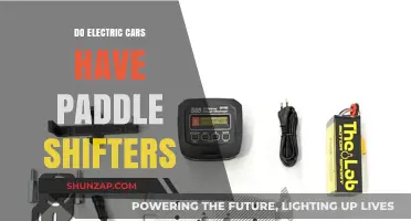 Electric Cars and Paddle Shifters: Do They Go Hand in Hand?