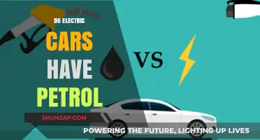Electric Cars and Petrol: Debunking the Fuel Myth