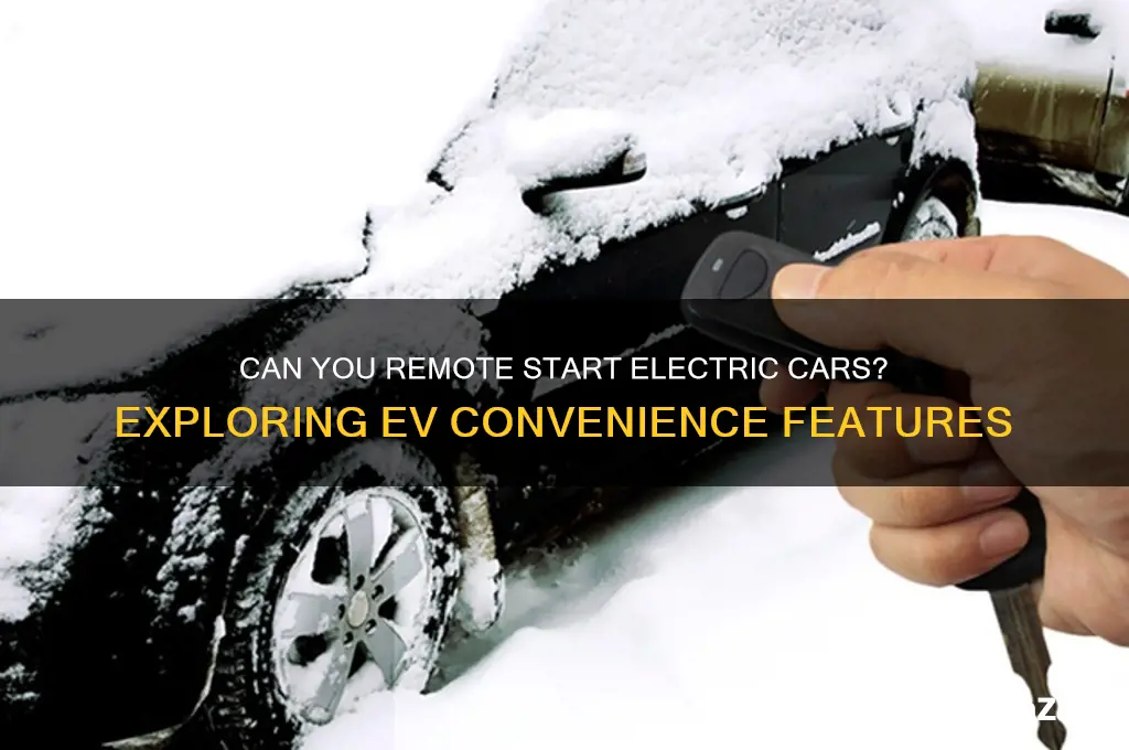 do electric cars have remote start