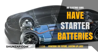 Electric Cars and Starter Batteries: Unraveling the Power Source Mystery
