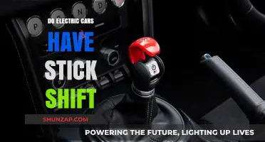 Electric Cars and Stick Shifts: Debunking the Manual Transmission Myth