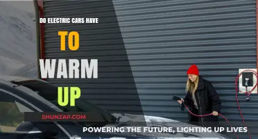 Electric Cars and Warm-Up: Do They Need Pre-Drive Heating?
