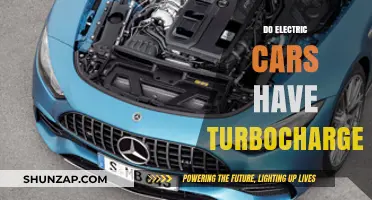Electric Cars and Turbochargers: Debunking the Myth of Compatibility