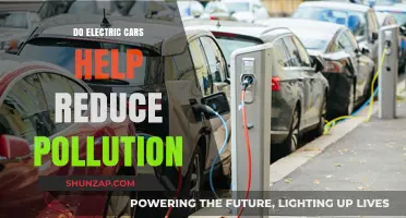 Electric Cars: Effective Pollution Reduction or Environmental Myth?