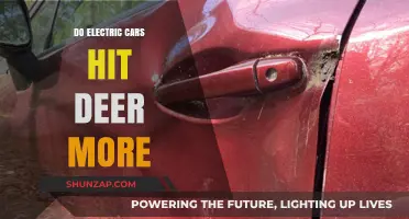 Electric Cars and Deer Collisions: Unraveling the Myth and Reality