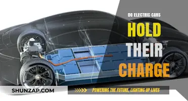 Do Electric Cars Hold Their Charge? Unraveling Battery Life Myths