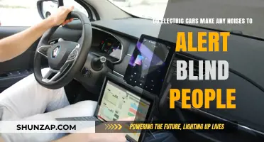 Electric Cars and Pedestrian Safety: Audible Alerts for the Visually Impaired