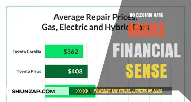 Electric Cars: Financial Sense or Expensive Trend? Weighing Costs and Benefits
