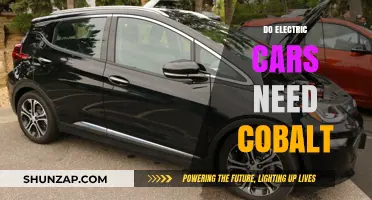 Electric Cars and Cobalt: Essential Component or Future-Proof Alternative?