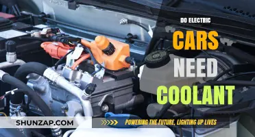 Do Electric Cars Need Coolant? Unraveling the Thermal Management Mystery