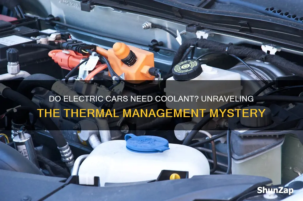 do electric cars need coolant