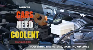Electric Cars and Coolant: Do They Really Need It?