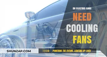 Electric Cars and Cooling Fans: Are They Necessary for Performance?