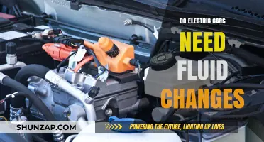 Electric Cars and Fluid Maintenance: What You Need to Know