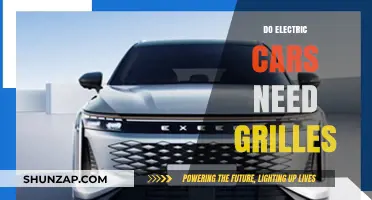 Electric Cars and Grilles: Are They Necessary or Just Aesthetic?