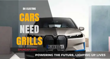 Electric Cars and Grills: Are They Necessary or Just Aesthetic?