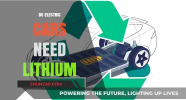Electric Cars and Lithium: Essential Component or Emerging Alternatives?