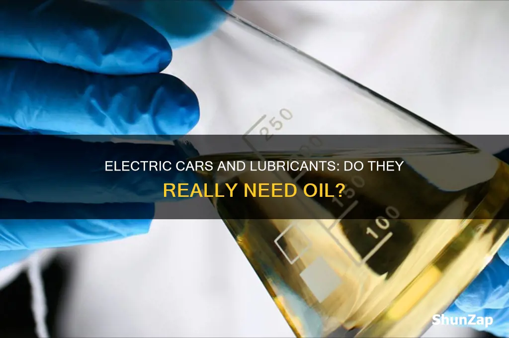 do electric cars need lubricants