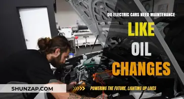 Electric Cars Maintenance: Do They Require Oil Changes?