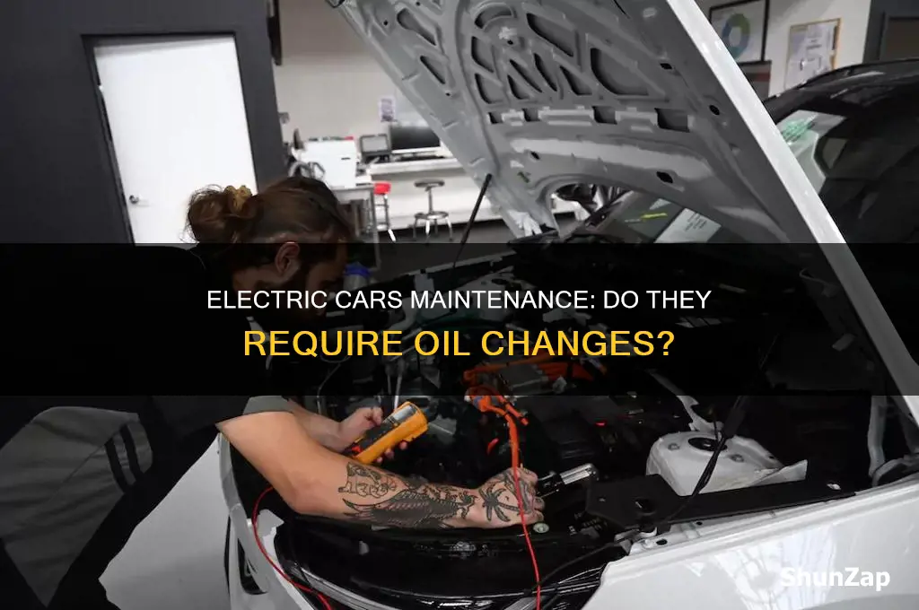 do electric cars need maintenance like oil changes