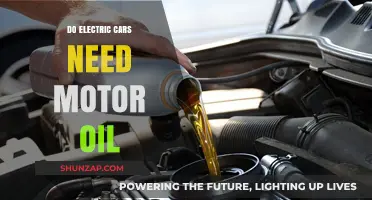 Electric Cars and Motor Oil: Unraveling the Maintenance Myth