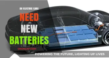 Electric Car Batteries: Replacement Necessity or Long-Term Durability?