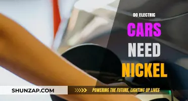 Electric Cars and Nickel: Essential Component or Future Alternative?