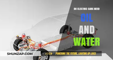 Electric Cars: Oil and Water Maintenance Myths Debunked