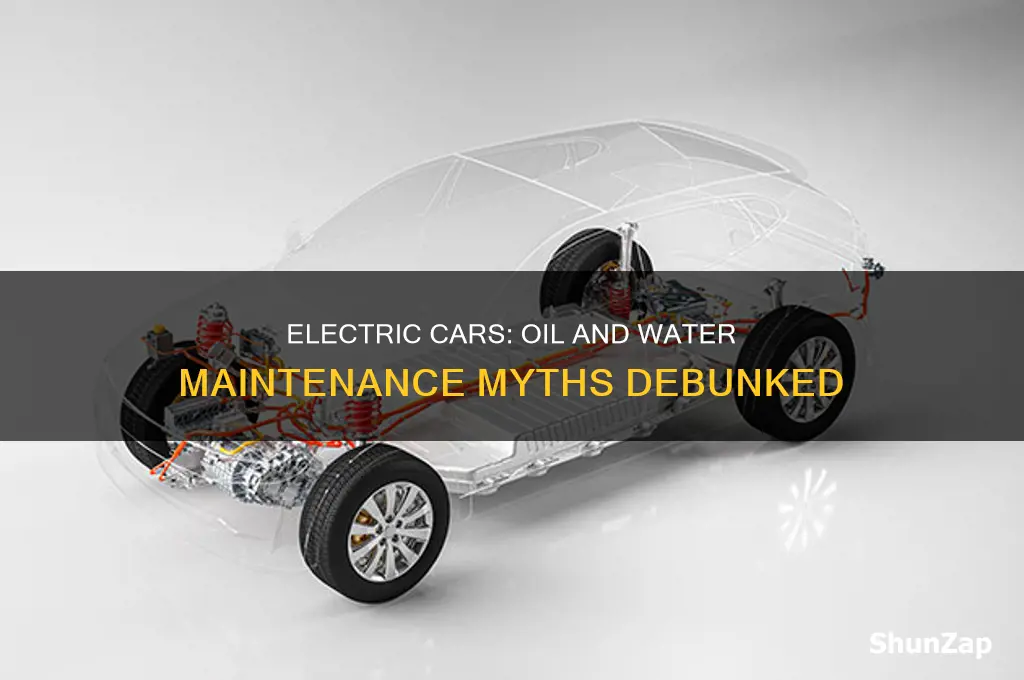 do electric cars need oil and water