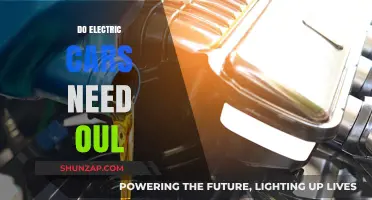 Electric Cars and Oil: Do They Really Need It?