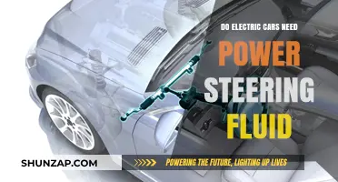 Electric Cars and Power Steering Fluid: Do You Need It?