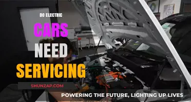 Electric Car Maintenance: Do EVs Really Need Regular Servicing?