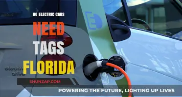 Do Electric Cars Need Tags in Florida? A Comprehensive Guide