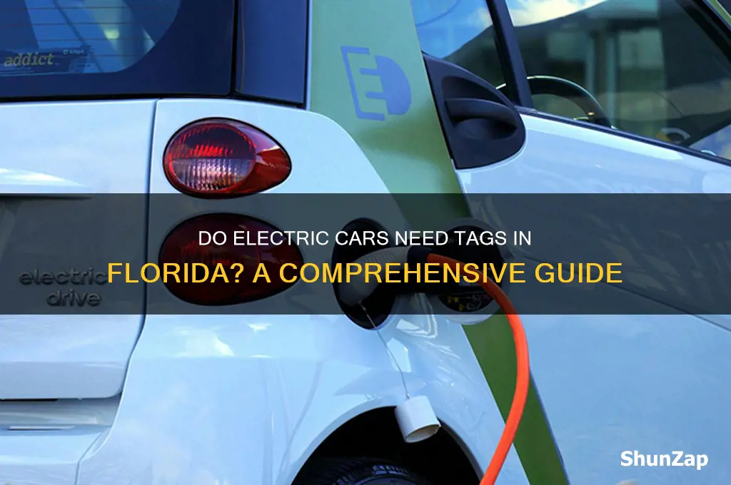 do electric cars need tags florida