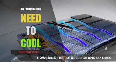 Electric Cars and Cooling: Essential Maintenance for Optimal Performance