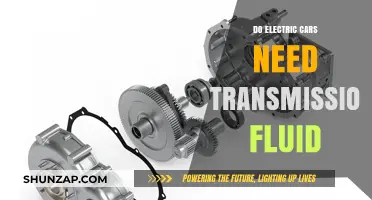 Electric Cars and Transmission Fluid: Do They Really Need It?