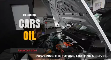 Do Electric Cars Need Oil? Debunking Common EV Maintenance Myths