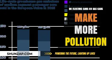 Electric vs. Gas Cars: Which Causes More Environmental Pollution?