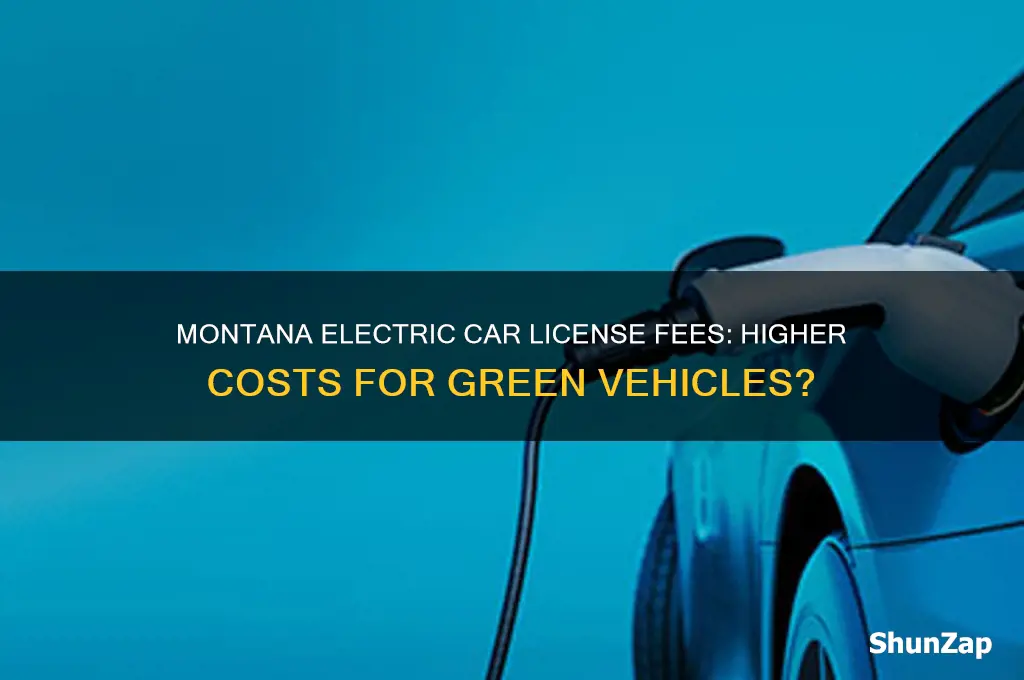 do electric cars pay more license fee in montana