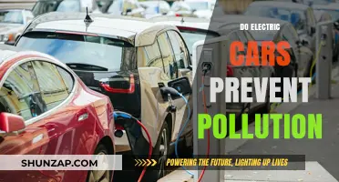 Electric Cars: A Clean Energy Solution to Prevent Pollution?